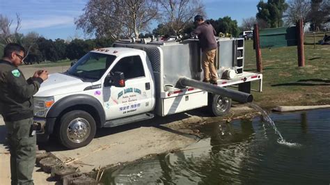 prado lake fish stocking schedule.